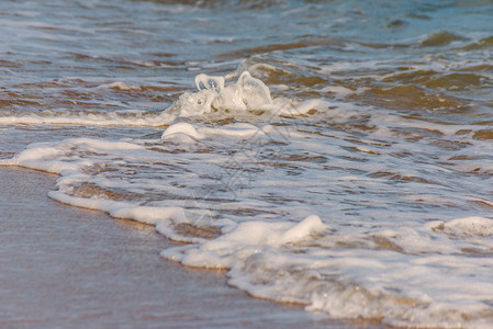 海水的特写影响沙滩上的沙子 海浪平静地流沙 放松的景色 海滨 夏天背景图片