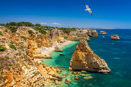 葡萄牙阿尔加维美丽的海滩 Marinha 海军海滩 海鸥飞过海滩 位于阿尔加维拉戈阿市的大西洋沿岸 海岸线 海滨背景图片