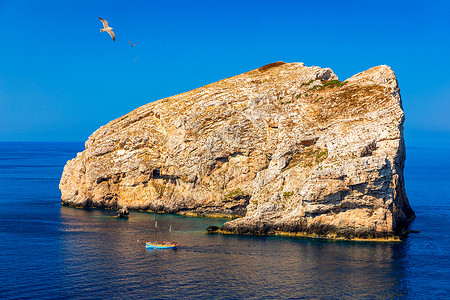 伊索科伊拉萨里岛从意大利撒丁岛岛上的查看 意大利撒丁岛阿尔盖罗镇附近“Capo Caccia”的 Foradada 岛 城市景观 欧洲背景