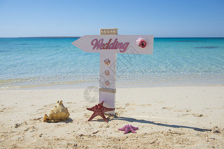 贝壳标志在热带海滩天堂的婚礼标志上 婚礼布置 夏天 贝壳 邮政背景