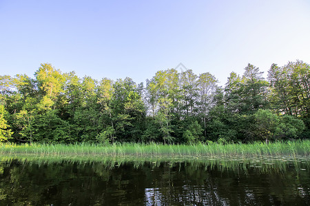 拉托维亚 拉特加莱 东欧湖景景观风景 夏季自然 平静的水 生态背景图片