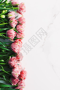 大理石背景的春花作为节假日礼物 贺卡和花花板 自然 横幅背景图片