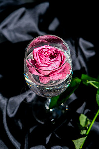 装满粉红色花瓣的酒杯放在黑色丝织品的桌子上 最小的现代静物 假日概念情人节或女人节背景设计 庆典 小样背景图片