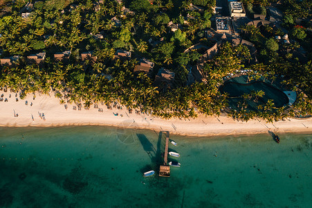 莫里斯岛在毛里求斯岛美丽的海滨沙滩上 从毛里求斯岛的鸟瞰图拍摄 棕榈 旅行背景