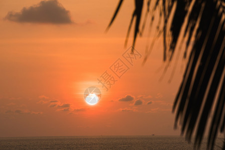 海滩上美丽的日落与海景背景图片