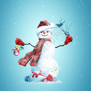 圣诞快乐 新年贺卡快乐 围巾 冰 庆典 自然 假期图片