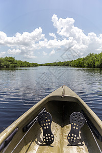 美国Everglades国家公园的Kayaking 云 运动图片