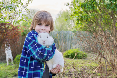 怀白兔子的男孩在手里 带着装饰兔的孩子 关心背景图片