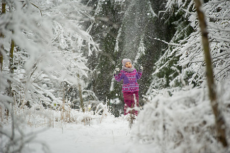 紫色衣服的小女孩一个冬天的小女孩 穿着紫色衣服 在雪覆盖的森林里走过 美丽 新年背景