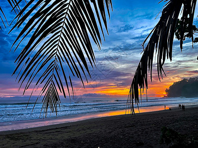 热带热带海滩在哥斯达黎加沿海的日落背景图片