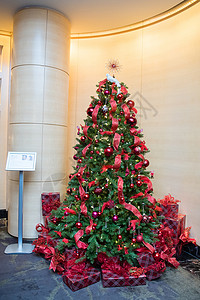 白红丝带圣诞树配有红丝带和灯泡 还有白乌龟鸽和星星背景
