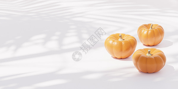 白色背景的南瓜 用于秋季假期或 sales3d 横幅广告背景图片