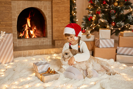 圣诞树和小女孩展示宠物高清图片