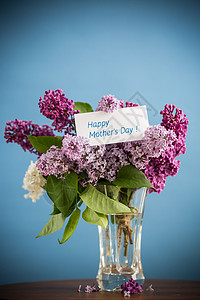 蓝底花瓶中各种盛开的春边花束花束 乡村 绽放背景图片