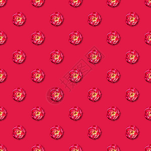 红葡萄树玫瑰无缝图案 顶部视图 平面 花纹图案 平躺 无缝模式背景图片