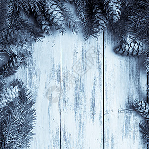 松树边框白色破旧的圣诞边框 松树 装饰品 框架 自然 树 针叶背景