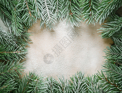 圣诞树树枝的架子框架背景图片