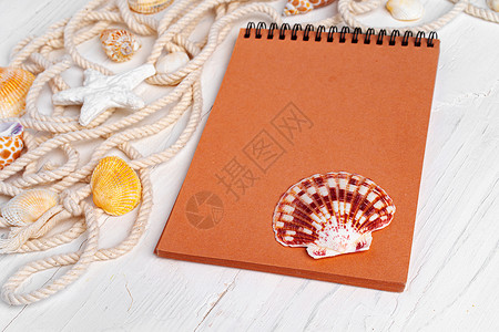 棕色笔纸贴近照片 木板上有海壳 空的 旅行 贝壳背景图片