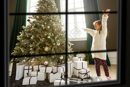 大气中的圣诞窗口 Xmas树 圣诞老人 诺埃尔 女士背景图片