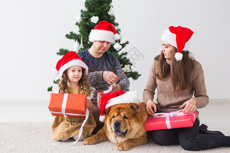 宠物 节假日和节日概念   有狗的家庭站在圣诞树附近 老的 女士微笑高清图片素材