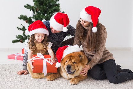 宠物 假期和节日概念 — 带狗的家人坐在圣诞树附近的地板上 爱 朋友庆典高清图片素材