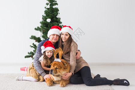 宠物 假期和节日概念 — 带狗的家人坐在圣诞树附近的地板上 男生 说谎老的高清图片素材