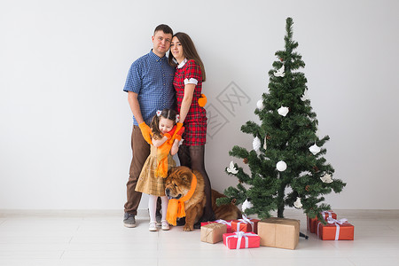 宠物 节假日和节日概念   有狗的家庭站在圣诞树附近 快乐 说谎微笑高清图片素材