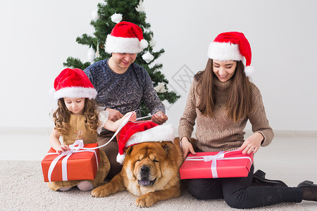 宠物 节假日和节日概念   有狗的家庭站在圣诞树附近 享受 冬天母亲高清图片素材