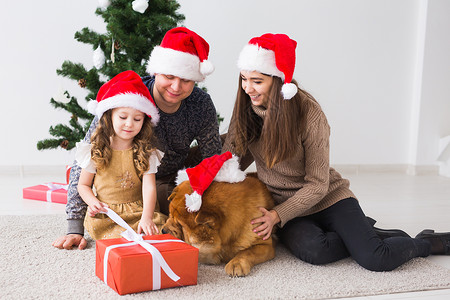 宠物 假期和节日概念 — 带狗的家人坐在圣诞树附近的地板上 庆典 女士男生高清图片素材