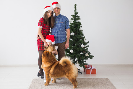 宠物 节假日和节日概念   有狗的家庭站在圣诞树附近 微笑 动物童年高清图片素材