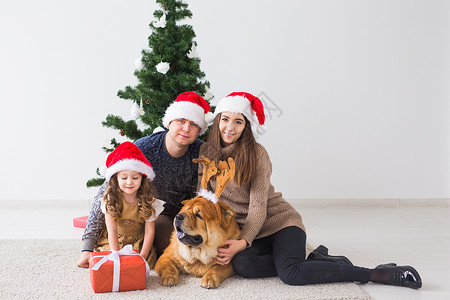 宠物 假期和节日概念 — 带狗的家人坐在圣诞树附近的地板上 祖父母 童年成人高清图片素材