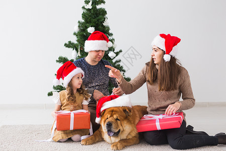 宠物 假期和节日概念 — 带狗的家人坐在圣诞树附近的地板上 庆典 成人女性高清图片素材