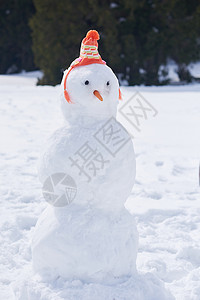 冬季雪人 滚雪球 胡萝卜 场景 天 圣诞老人 卡片 十二月背景图片