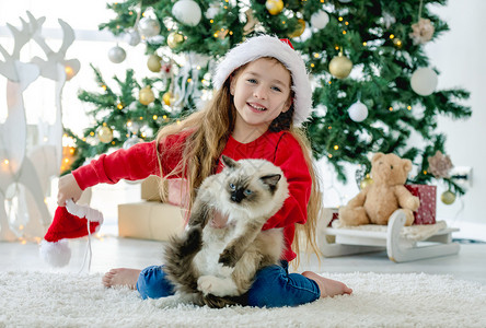 圣诞节时 带着破布娃娃猫的小女孩 庆典 房间背景图片