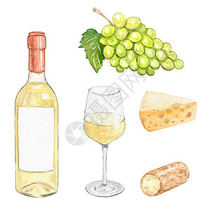 手绘赖葡萄水彩白葡萄酒和奶酪套装隔离在白色背景上 手绘绿色葡萄果实和玻璃酒瓶背景
