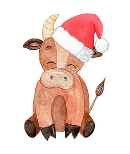 手绘奶牛圣塔帽中快乐的棕色公牛坐在白色背景上 与世隔绝 小可爱婴儿用于圣诞节装饰背景