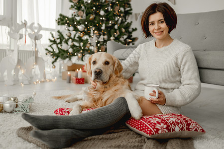 宠物咖啡带着可可和金皮狗的女孩 假期 甜的 爪子 舒适 冬天背景