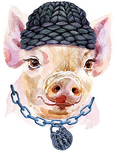 黑冬帽小猪的水彩画像 带锁链背景图片