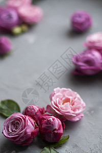 粉红玫瑰就放在灰色混凝土背景上 打贺词的地方 生日 树叶背景图片