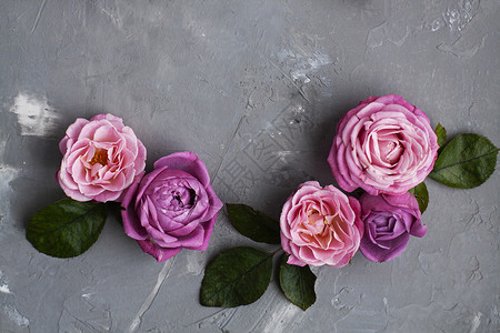 粉红玫瑰就放在灰色混凝土背景上 打贺词的地方 树叶 压痛背景图片