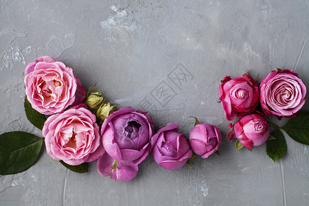 粉红玫瑰就放在灰色混凝土背景上 打贺词的地方 情人节背景图片