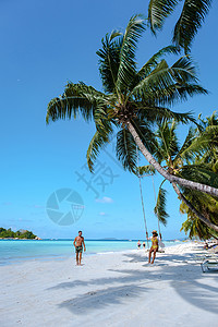椰子树下吊床热带岛屿 拥有海滩和棕榈树 一对男女在的一棵棕榈树下的海滩上荡秋千 太阳 海岸线背景