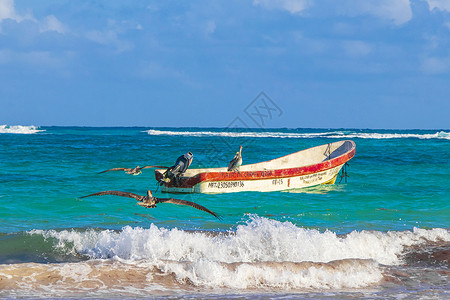 海浪船 鱼海岸和海滩全景图鲁姆墨西哥 棕榈背景图片