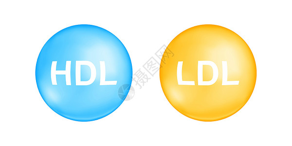 HDL 和 LDL 胆固醇类型 好胆固醇和坏胆固醇概念 白色背景下分离的高密度和低密度脂蛋白球 医疗信息图表元素图片