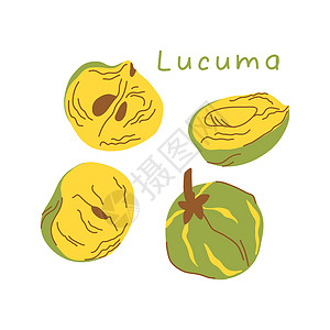 白色背景下孤立的卡通风格的 Lucuma 水果插图图片