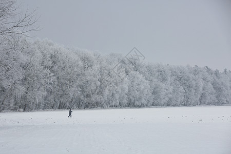 捷克共和国帕尔杜比采，雪雾笼罩的美丽冬日风景图片