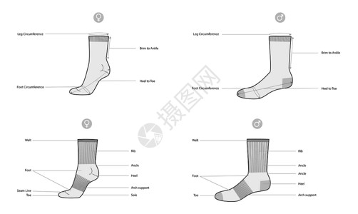 袜子部件和尺寸的图表，带有文字名称。袜子时尚配饰服装技术插图图片