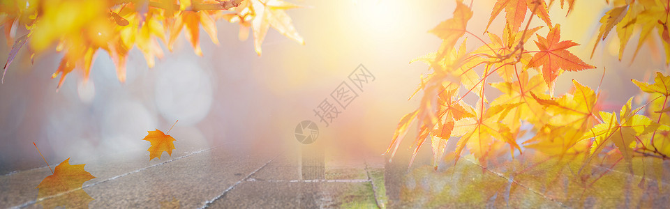 秋季山景电商扁平风格秋季枫叶背景设计图片