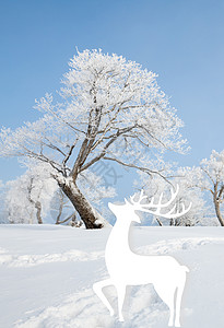 梦幻麋鹿冬季海报背景图片