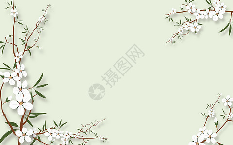 白色玉兰花兰花素材背景墙图片设计图片